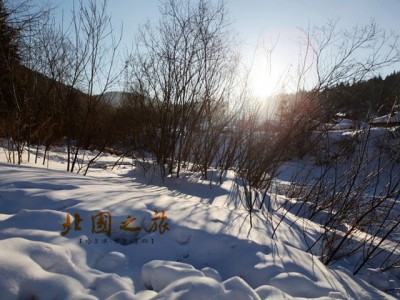 常州北国冰雪世界：梦幻冬季之旅