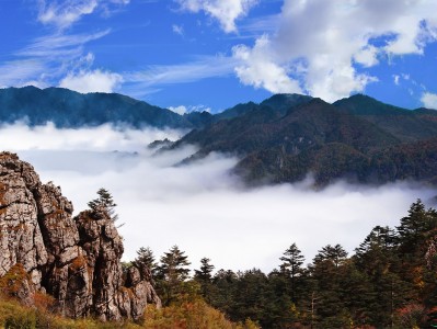 常州神农架：秘境之旅，云海奇观，草原牧歌，探寻世外桃源